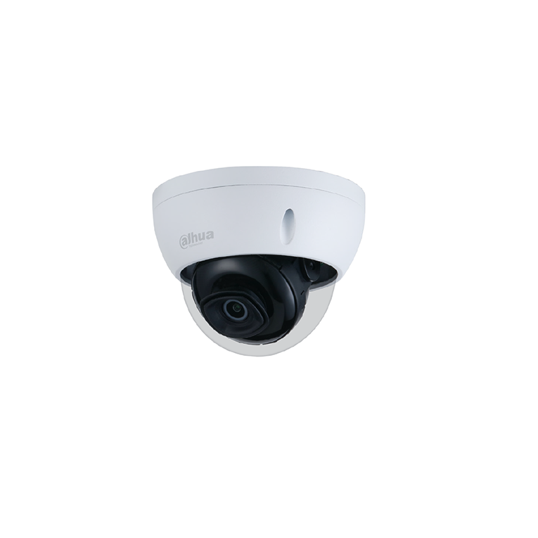 4 Megapiksel IR Dome IP Kamera